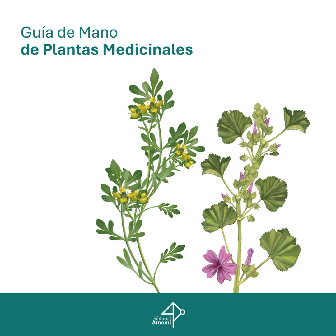 Guía de Plantas medicinales - Descarga gratuita