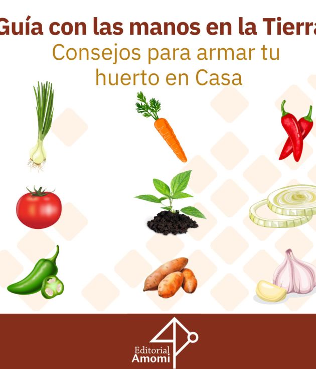 Guía para armar tu huerto en Casa