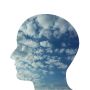 Reflexiones de una ambiental
