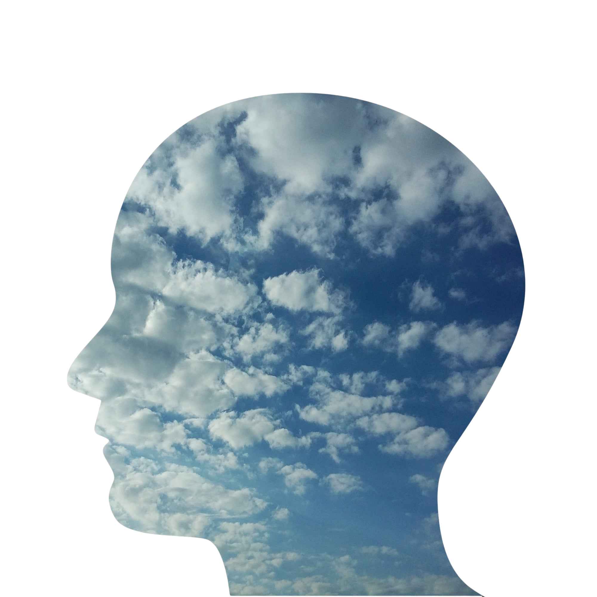 Reflexiones de una ambiental